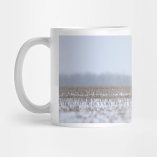 Snowy Owl sitting in cornfield Mug